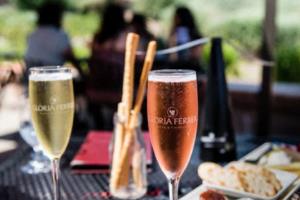 巨型体操队：力与美的史诗，征服团体赛的荣耀之路