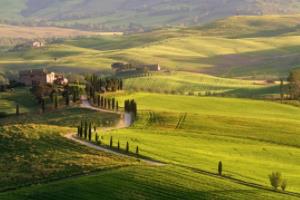 王牌球员砍下高分，率队攀升积分榜