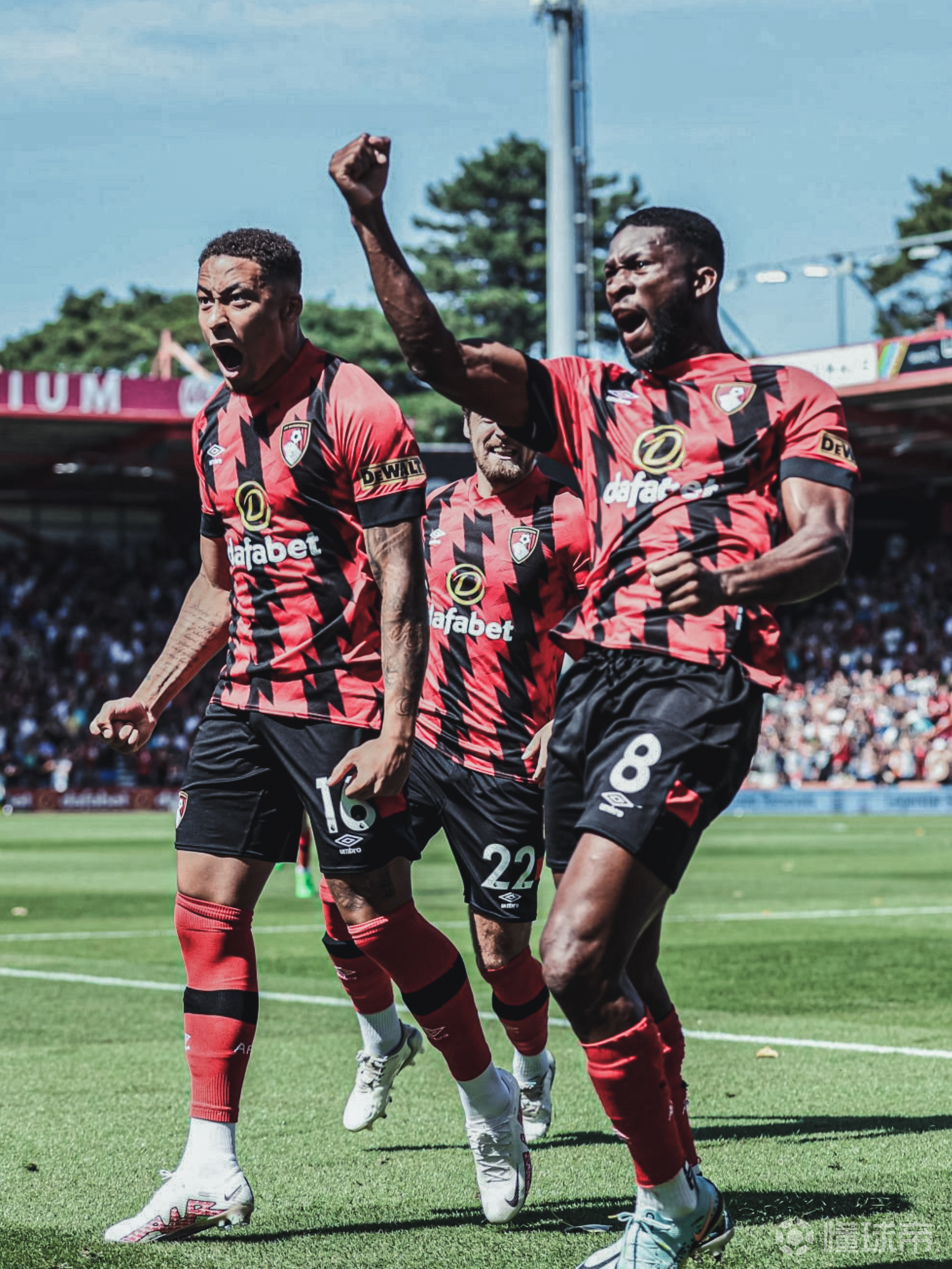 包含伯恩茅斯主场连胜，领跑升班马之争的词条