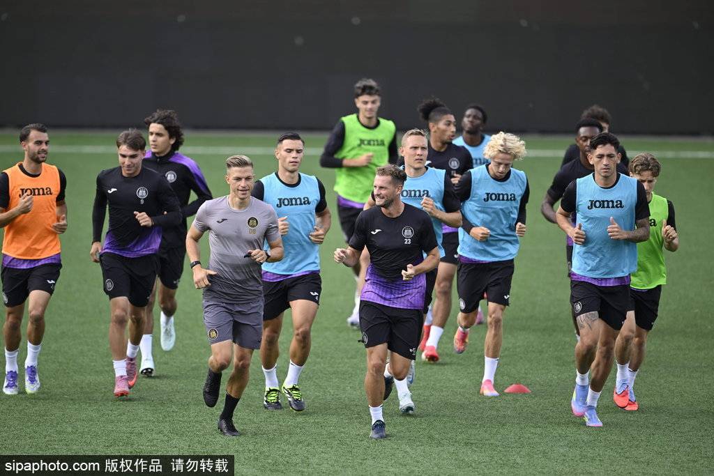 瑞士国脚加盟英超劲旅，提升战力与竞争力的简单介绍